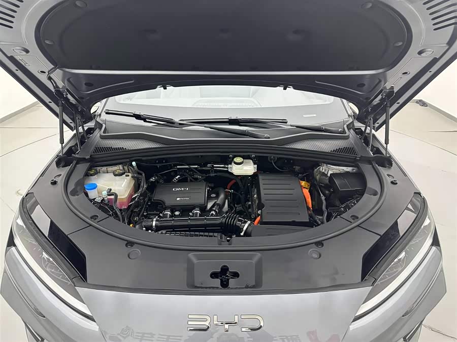 BYD Song Plus New Energy 2024 #28 BYD Song Plus New Energy 2024 car image #28