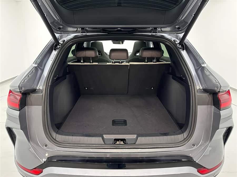 BYD Song Plus New Energy 2025 car image #28