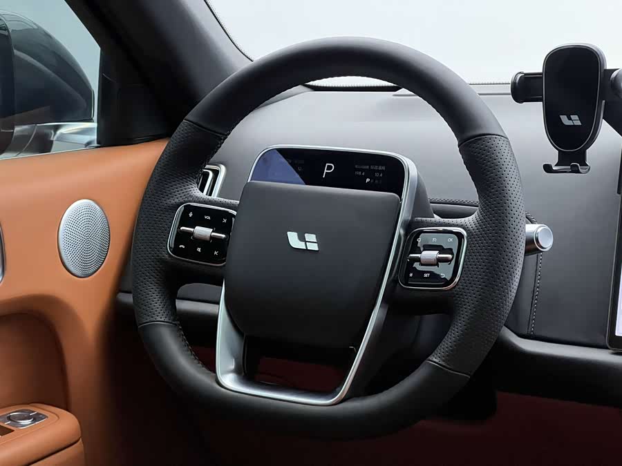 Li L9 2023 car image #28
