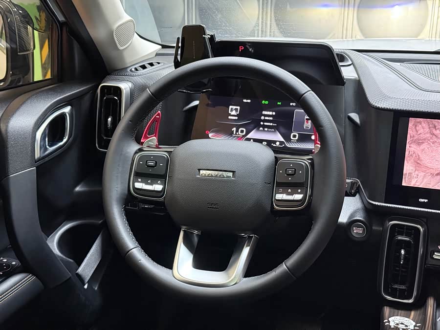 Haval X Dog / Dargo 2024 immagine di auto #28