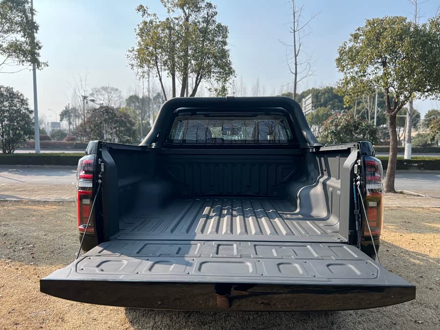 Great Wall Poer 2023 car image #28