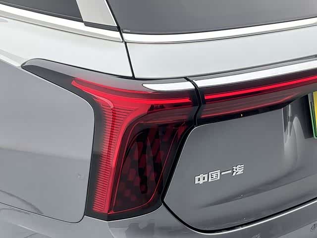 HongQi E-HS9 2023 car image #28