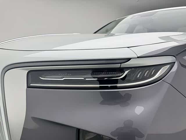 HongQi E-HS9 2023 image de voiture #28