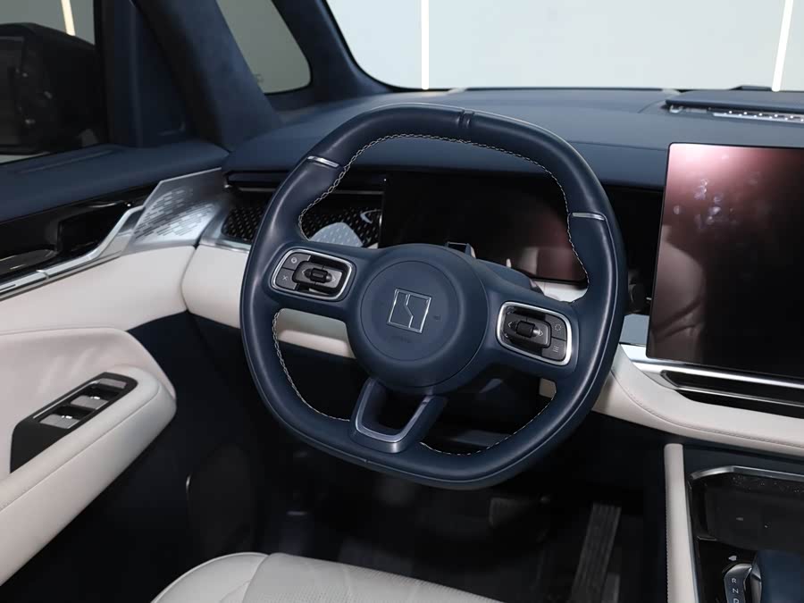 极氪 极氪009 2025 汽车图片 #28