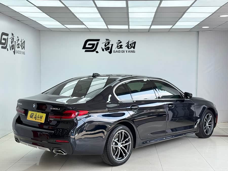 BMW 5 Series 2022 car image #28