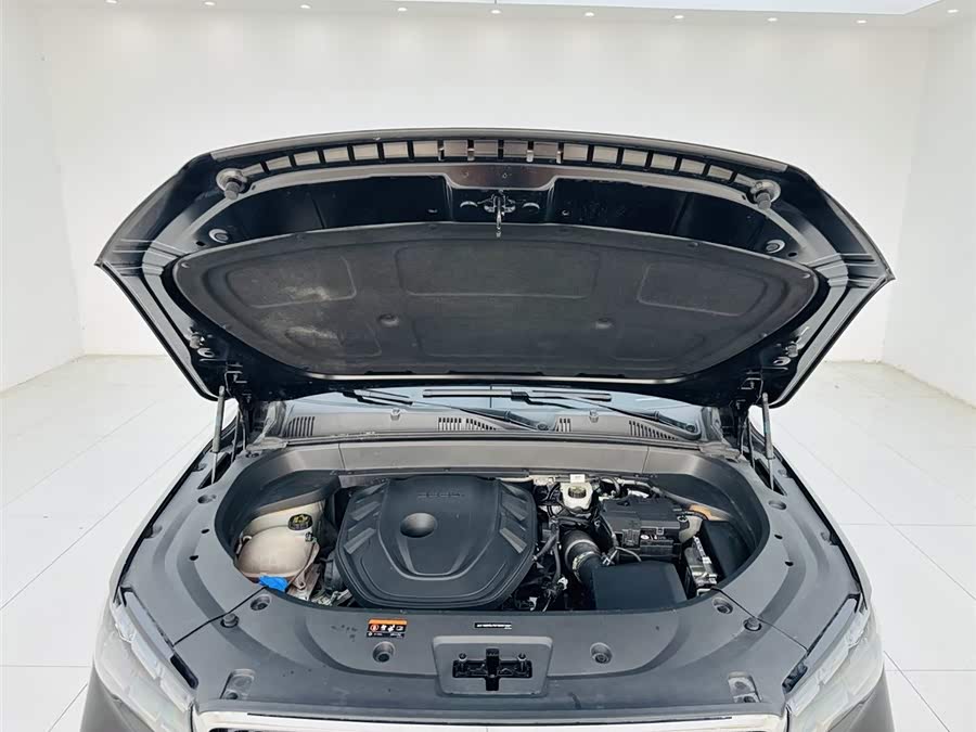 GEELY Monjaro 2022 car image #28