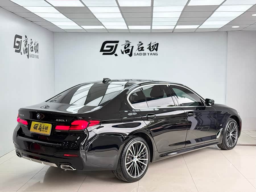 BMW 5 Series 2020 immagine di auto #28