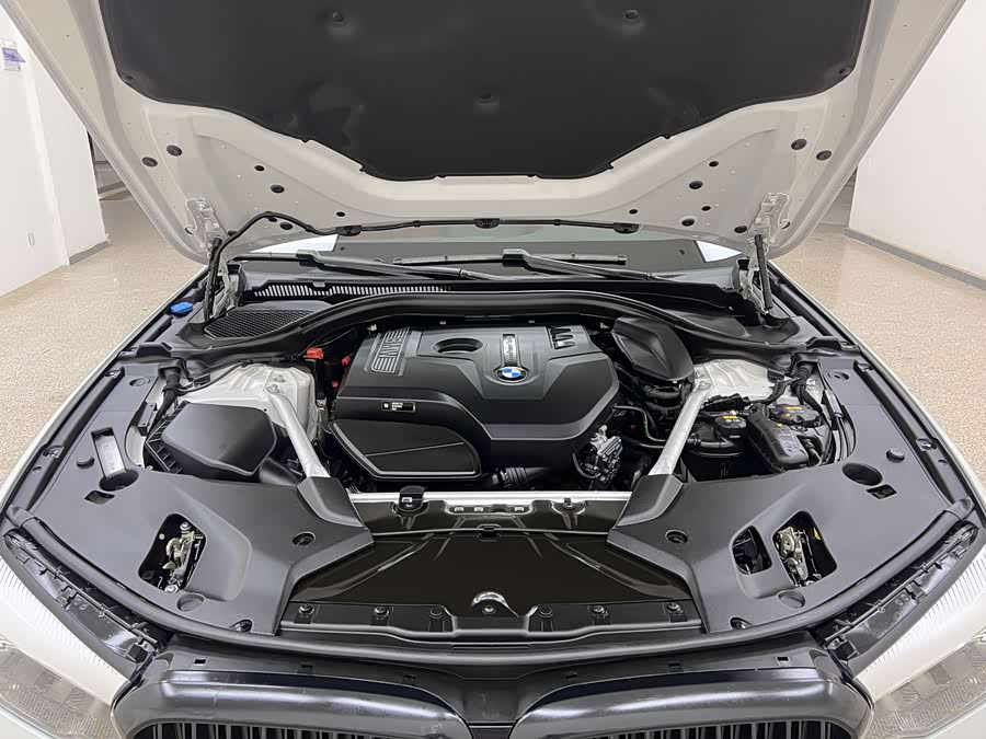 BMW 5 Series 2019 car image #28