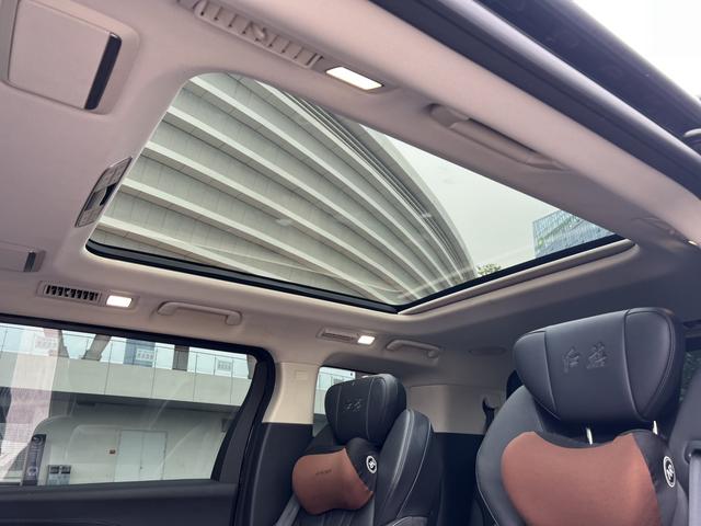 HongQi HQ9 2023 car image #28