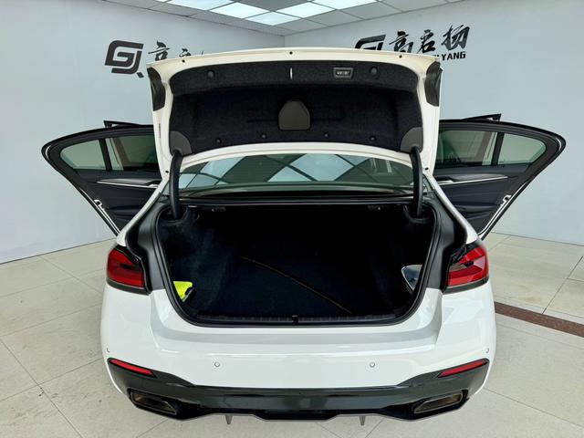 BMW 5 Series (Imported) 2020 car image #28