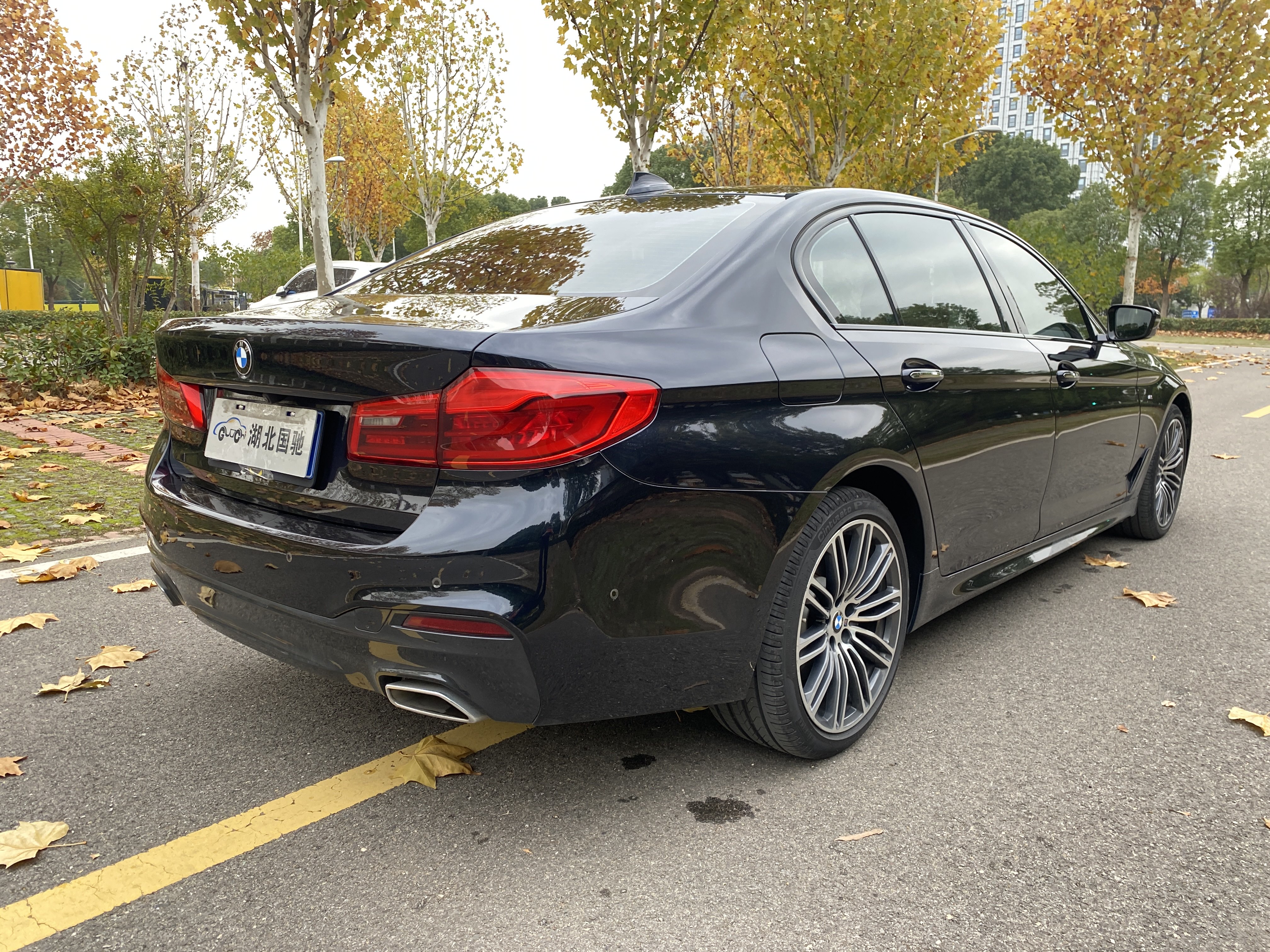 BMW 5 Series 2018 #28 BMW 5 Series 2018 car image #28