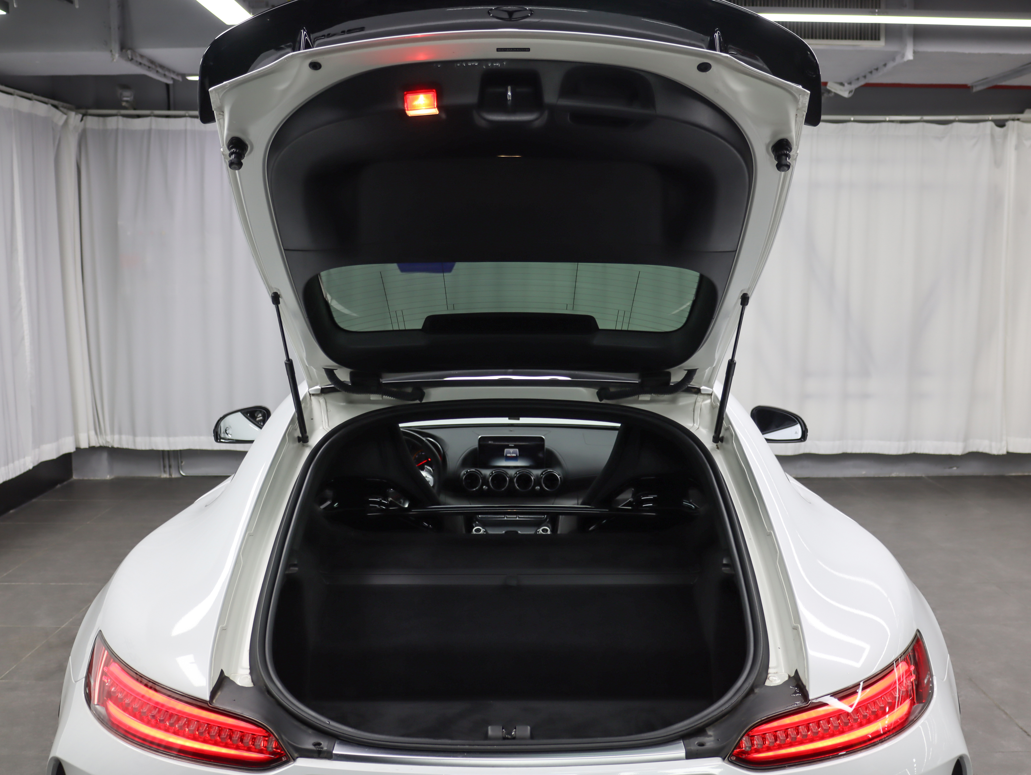 Mercedes-Benz AMG GT 2020 изображение автомобиля #28