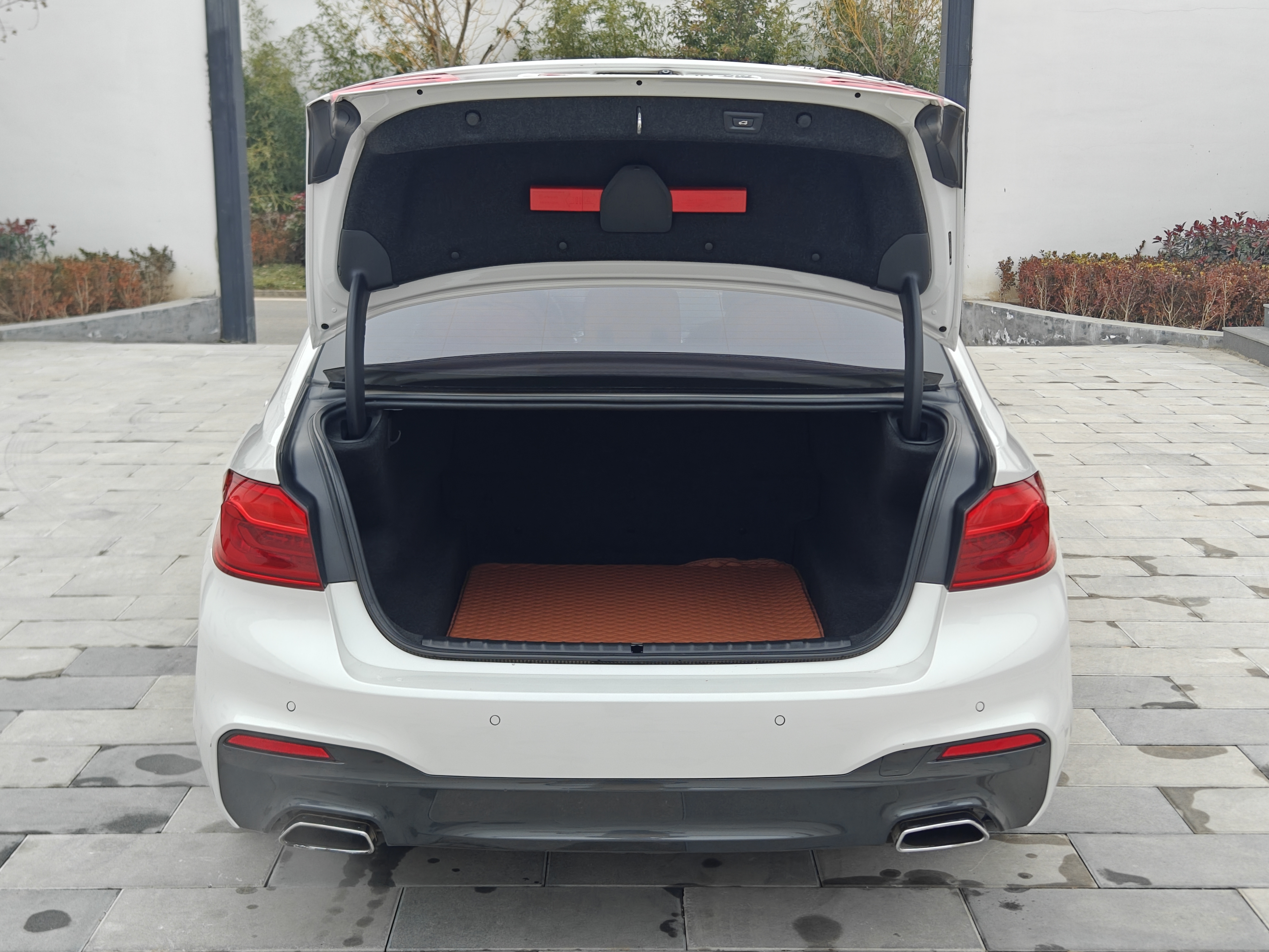 BMW 5 Series 2019 car image #28