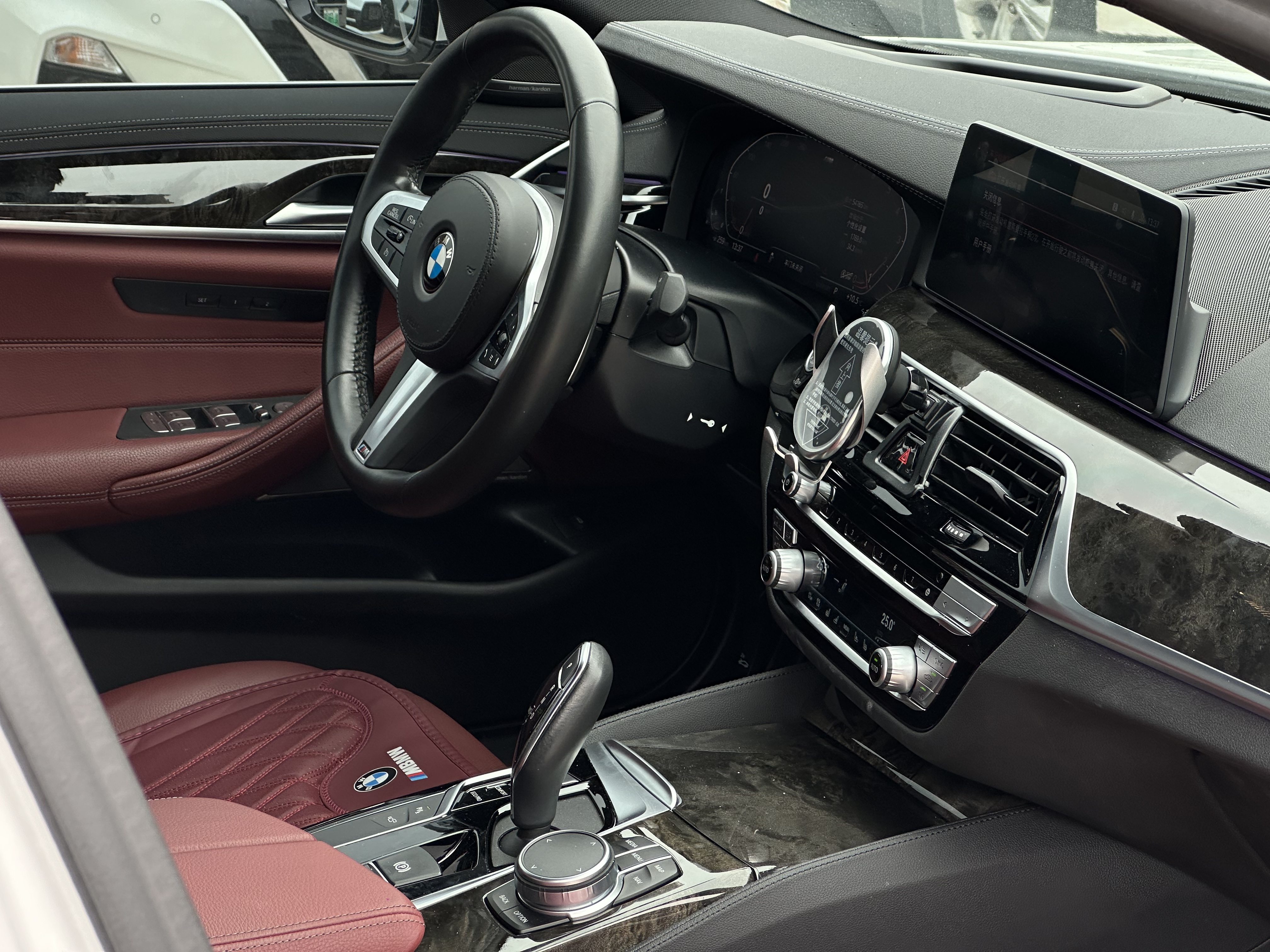 BMW 5 Series 2020 immagine di auto #28