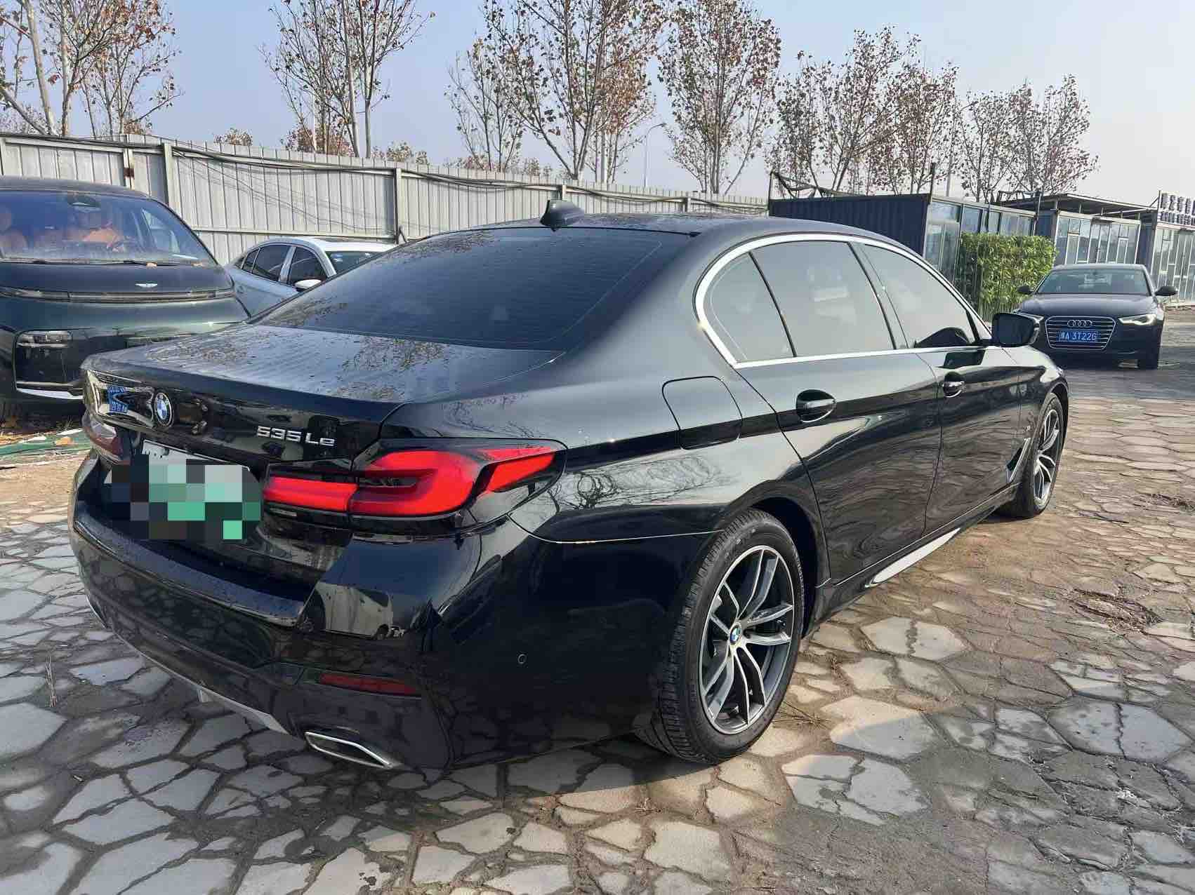 BMW 5 Series New Energy 2021 car image #28