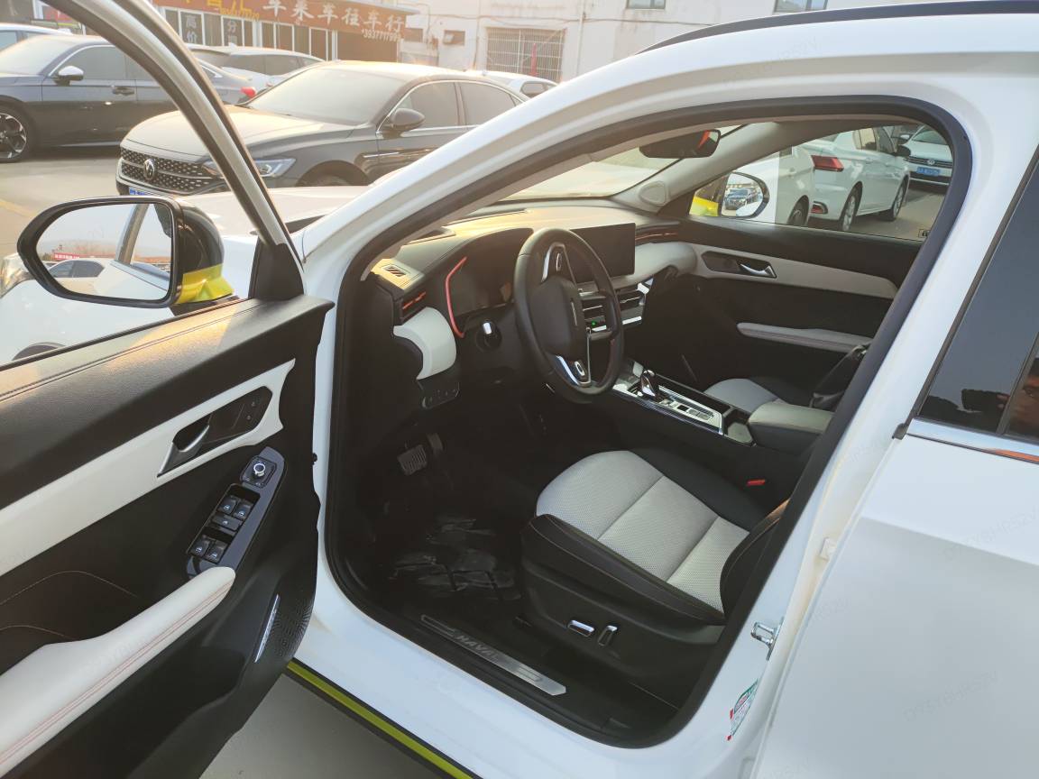Haval Rabbit 2022 car image #28