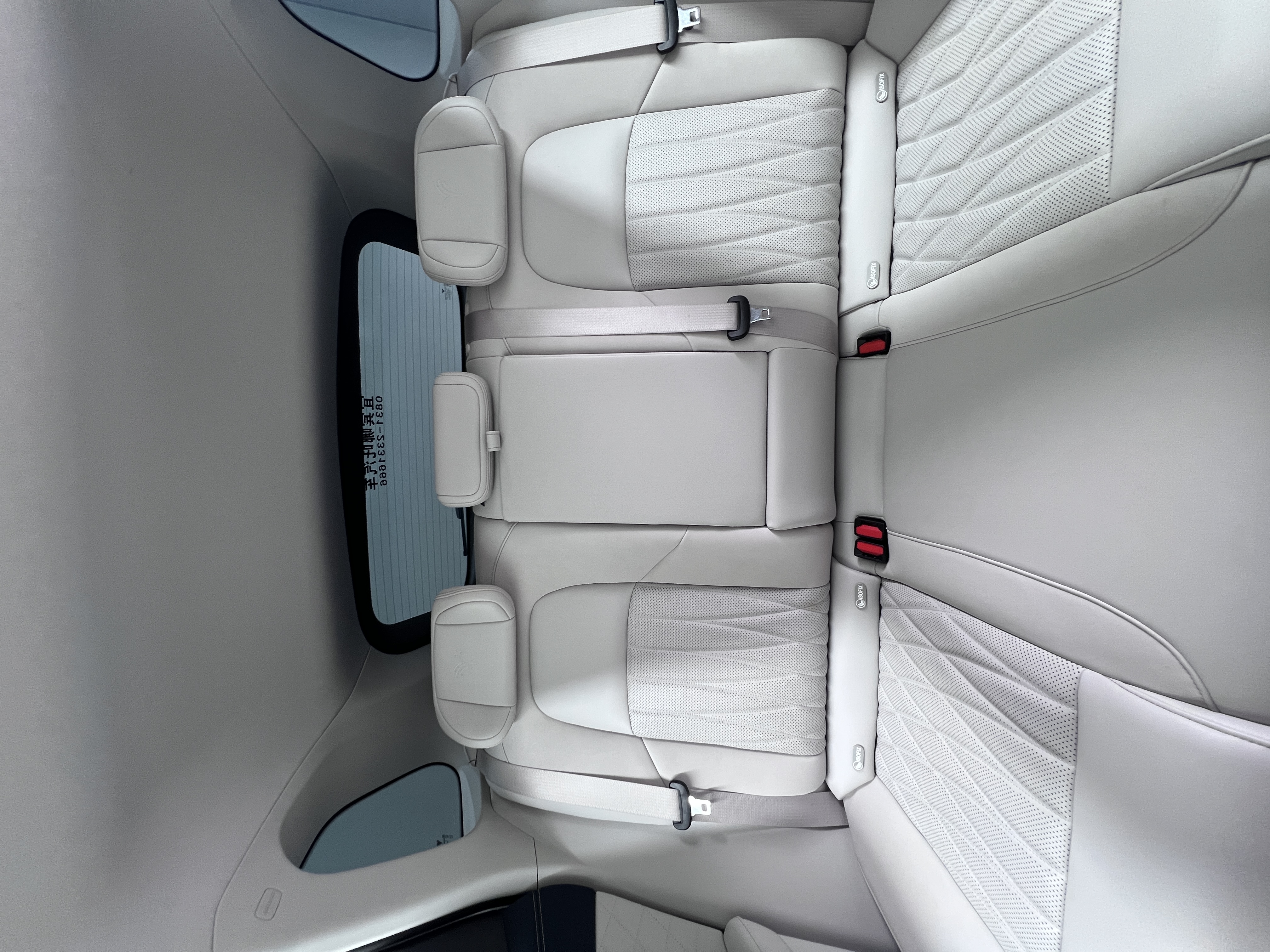 Neta L 2024 imagen de coche #28