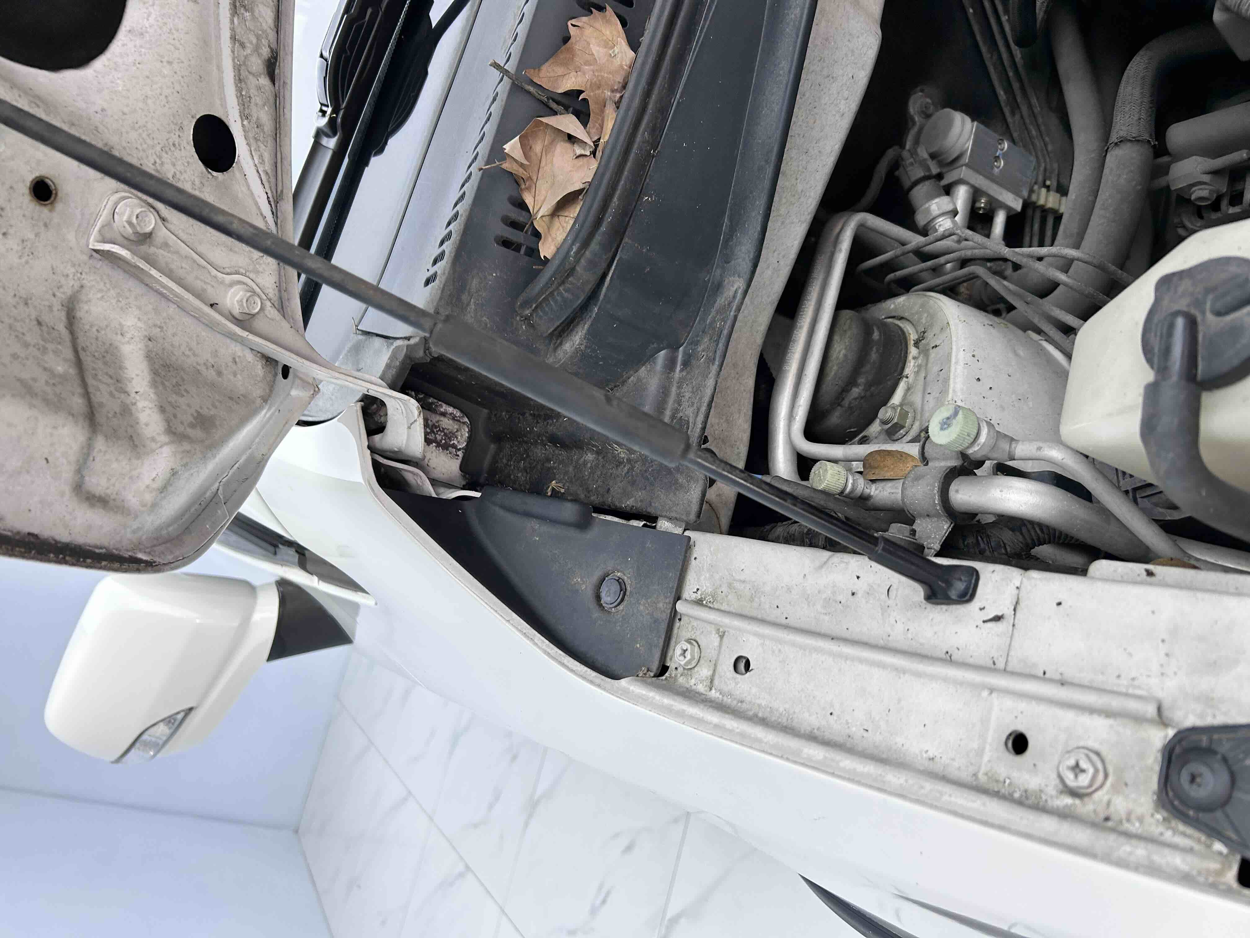 Changan CX20 2014 immagine di auto #28