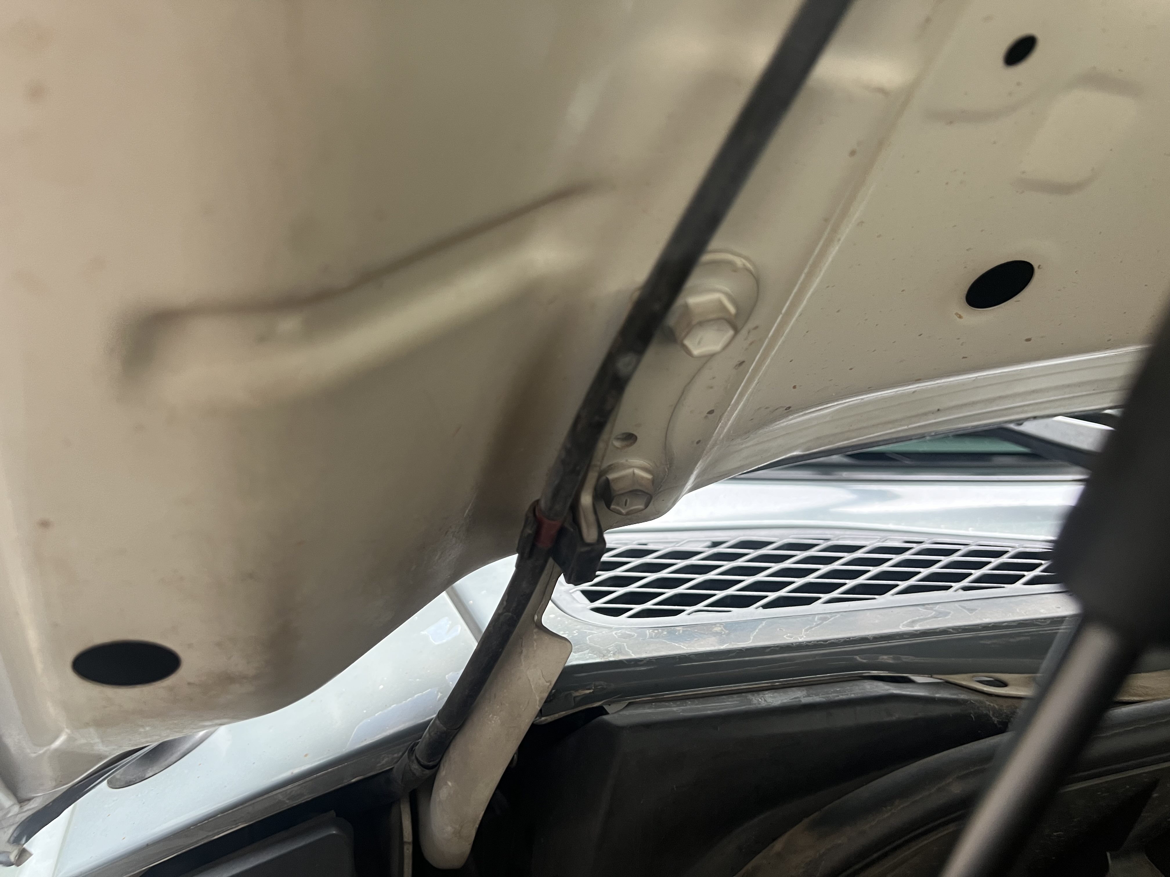 Toyota FJ Cruiser 2018 immagine di auto #28