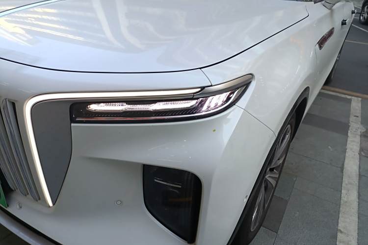 HongQi E-HS9 2023 car image #28