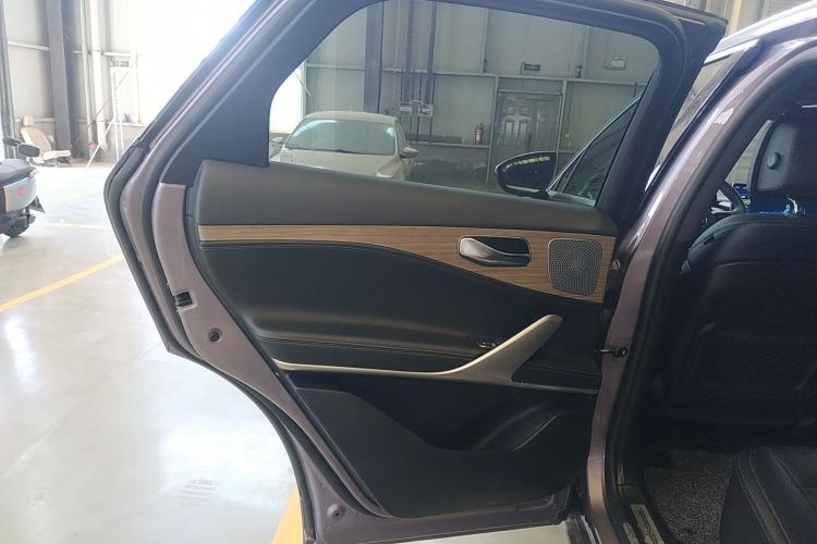 Denza X 2020 #28 Denza X 2020 imagem de carro #28