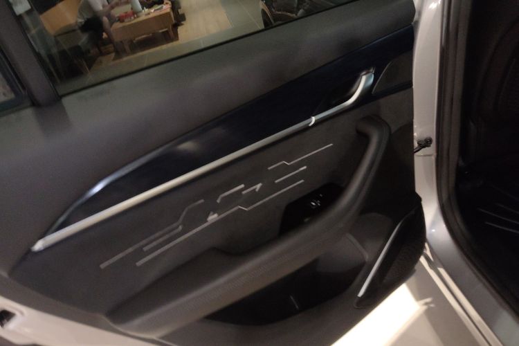 GEELY Tugella 2023 car image #28