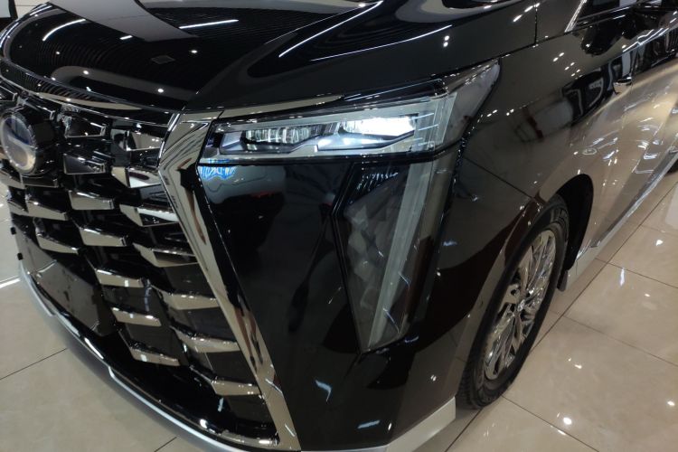 GAC Trumpchi Xiangwang M8 2025 car image #28