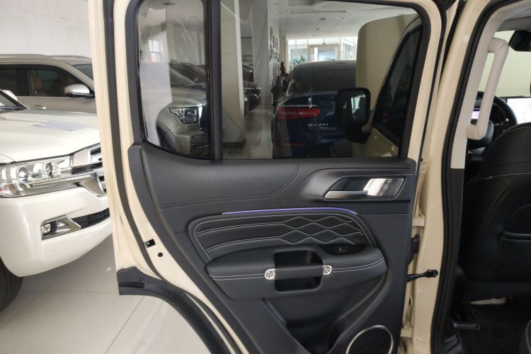 Tank 300 New Energy 2025 imagen de coche #28