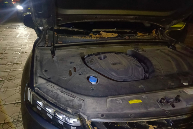 GEELY Tugella New Energy 2019 car image #28