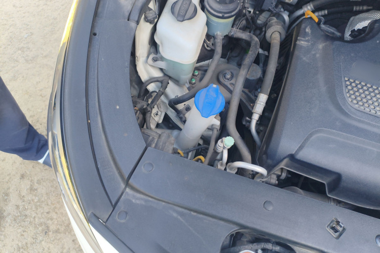 起亚 嘉华(进口) 2017 汽车图片 #28