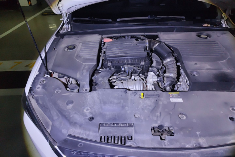 BYD Qin Pro 2020 car image #28