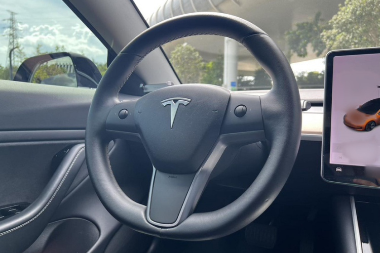 特斯拉 Model 3(进口) 2019 汽车图片 #28