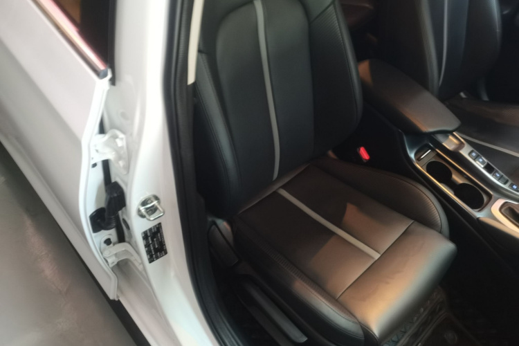 Hyundai Lafesta 2020 car image #28