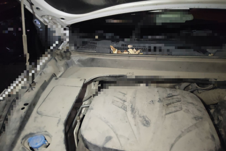 Zotye T300 2017 image de voiture #28