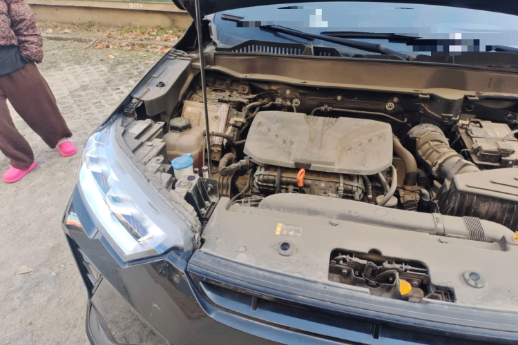 Haval H6S 2022 car image #28