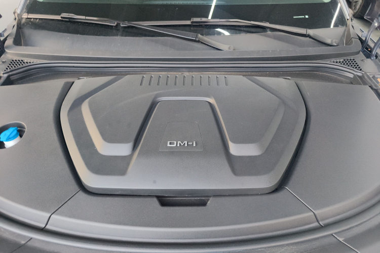 BYD Sea Lion 07 DM-i 2025 car image #28