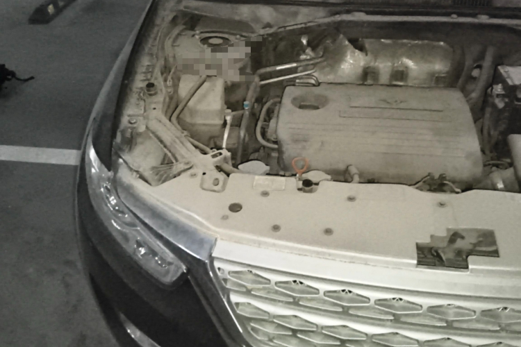 Kaiyi X3 2017 car image #28