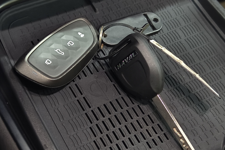 Haval Dargo 2022 car image #28