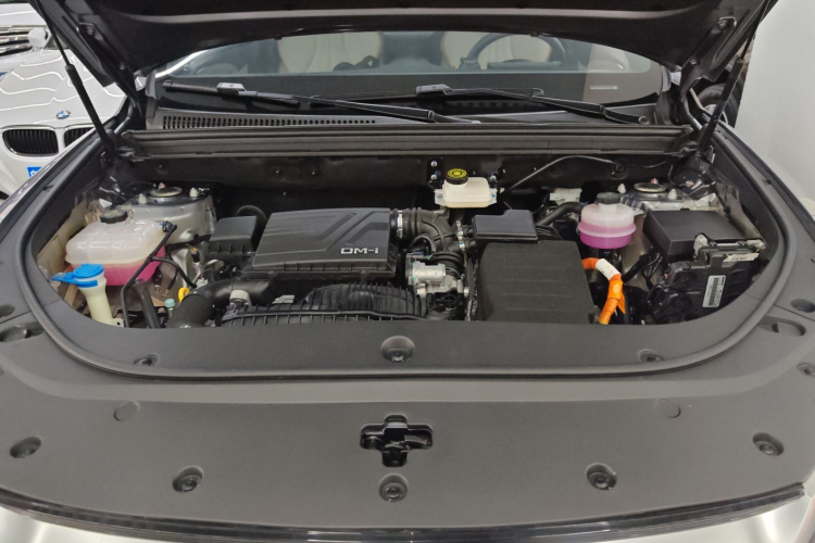 BYD Song Pro New Energy 2024 car image #28