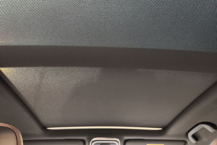 Denza X 2020 car image #28