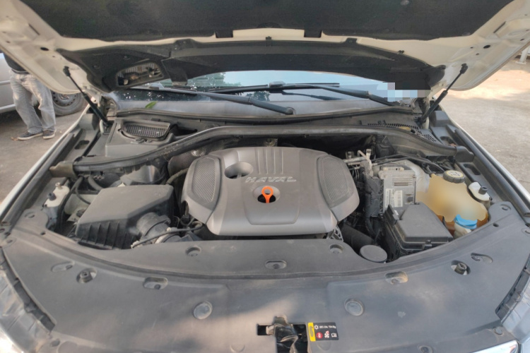 Haval H8 2018 car image #28