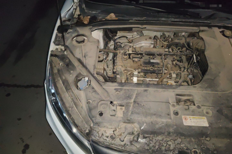 GEELY Emgrand GL 2018 car image #28