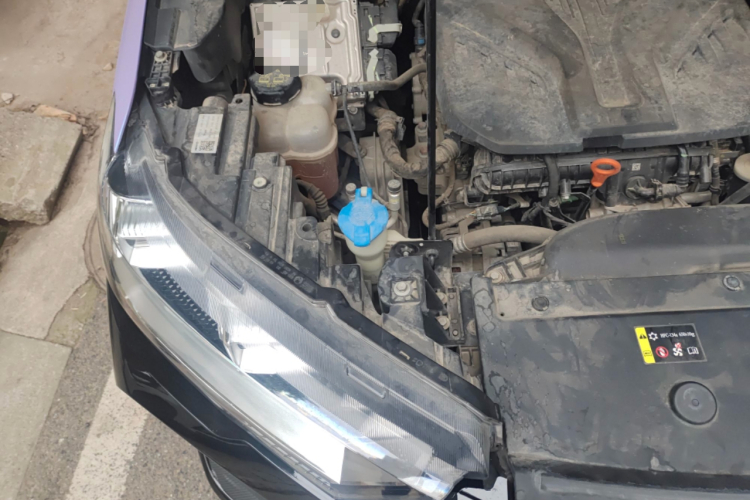 Haval H6S 2022 immagine di auto #28