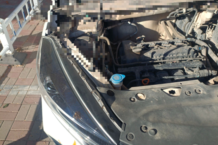 Kaiyi Showjet 2021 imagen de coche #28