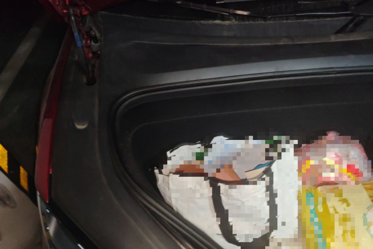 特斯拉 Model X 2023 汽车图片 #28