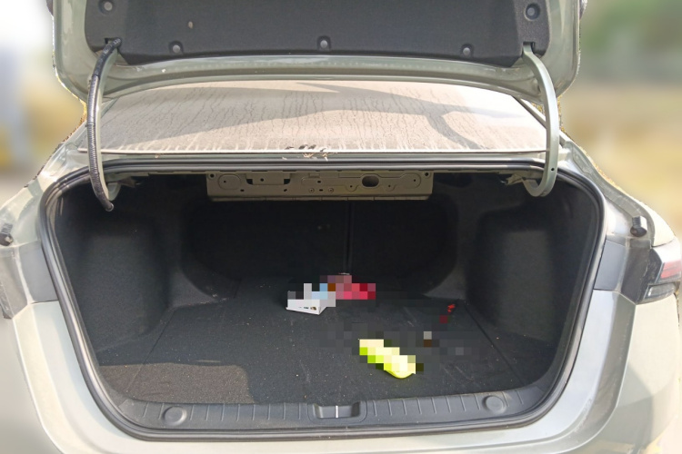 GEELY Binray 2022 #28 GEELY Binray 2022 car image #28