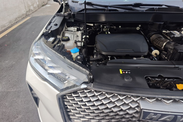 Haval H6 2023 car image #28