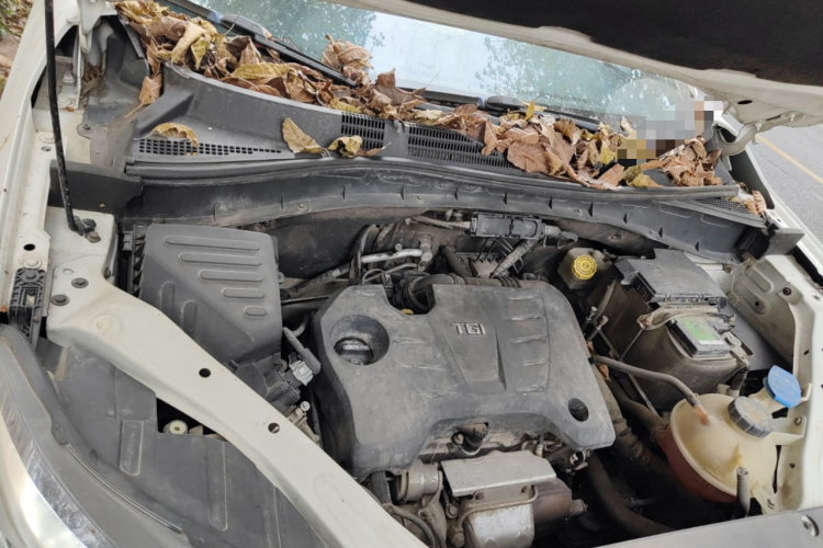 MG GS 2015 #28 MG GS 2015 car image #28