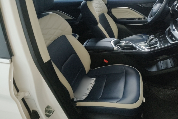 睿蓝汽车 枫叶80v PRO 2023 汽车图片 #28