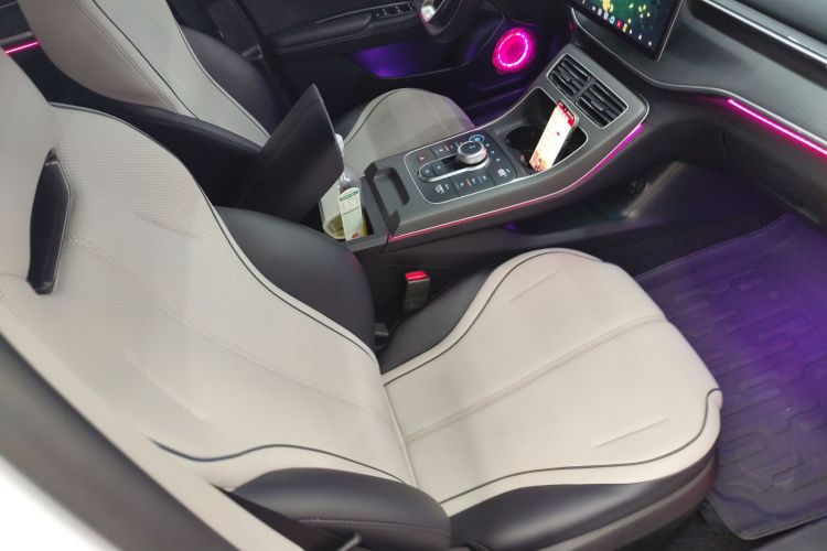 BYD Destroyer 05 2024 imagen de coche #28